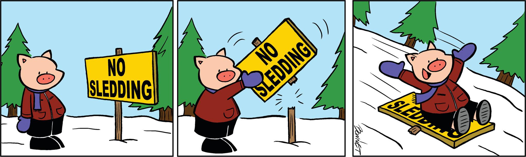 Art OCR: NO SLEDDING NO SLEDDING //BONNET SLED NO SLEDDING NO SLEDDING // BONNET SLED