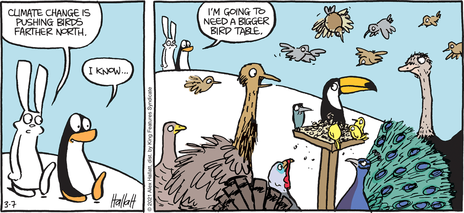 Beak OCR: ARGIC GRdE CLUMATE CHANGE IS PUSHING BIRDS FARTHER NORTHI'M GOING TO NEED A BIGGER BIRD TABLE. KNOW.. Hallat BY ALEX HALLATT 3-7 ARGIC GRdE CLUMATE CHANGE IS PUSHING BIRDS FARTHER NORTHI'M GOING TO NEED A BIGGER BIRD TABLE. KNOW.. Hallat BY ALEX HALLATT 3-7