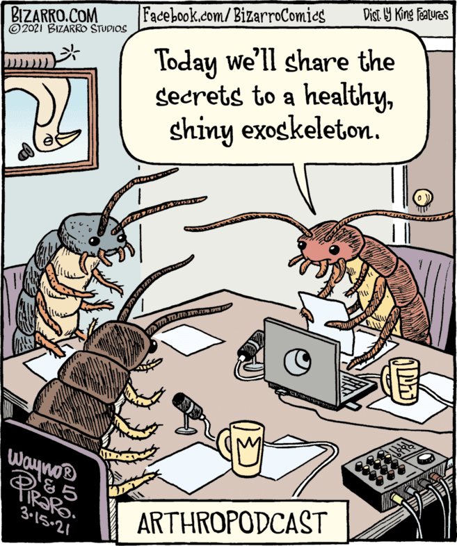 Illustration OCR: Dist. 9 King Features BIZARRO.COM © 2021 BIZARRO STUDIOS Facebook.com/BizarroComies Today we'll share the secrets to a healthyshiny exoskeleton. ALR Aana Waynos &? PRSPO 3-15•21 ARTHROPODCAST Dist. 9 King Features BIZARRO.COM © 2021 BIZARRO STUDIOS Facebook.com/BizarroComies Today we'll share the secrets to a healthyshiny exoskeleton. ALR Aana Waynos & ? PRSPO 3-15•21 ARTHROPODCAST