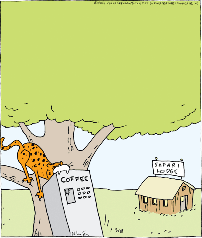 Gesture OCR: © 202I NIKLASs ERIKSSON/BULLSINC. SAFARI LO OGE COFFEE I 313 © 202I NIKLASs ERIKSSON/BULLSDIST. BY KING FEATURES SYNDICATEINC. SAFARI LO OGE COFFEE I 313