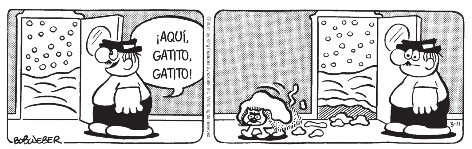 Illustration OCR: ¡AQUÍGATITO! 3-11 BOBWEBER. ¡AQUÍGATITO! 3-11 BOBWEBER.