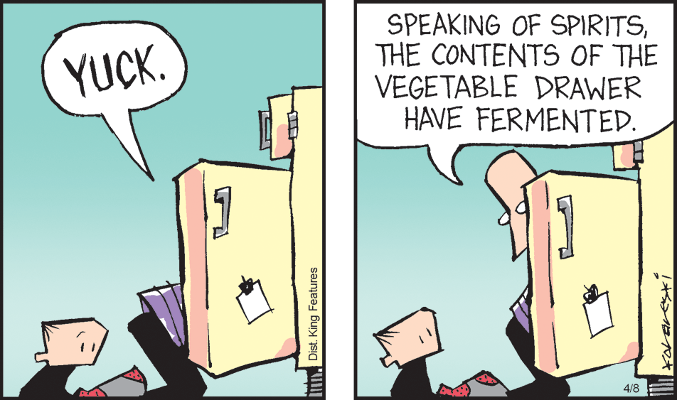 Illustration OCR: SPEAKING OF SPIRITSTHE CONTENTS OF THE VEGETABLE DRAWER HAVE FERMENTED. YUCK. 4/8 . Dist. King Features SPEAKING OF SPIRITSTHE CONTENTS OF THE VEGETABLE DRAWER HAVE FERMENTED. YUCK. 4/8 . Dist. King Features