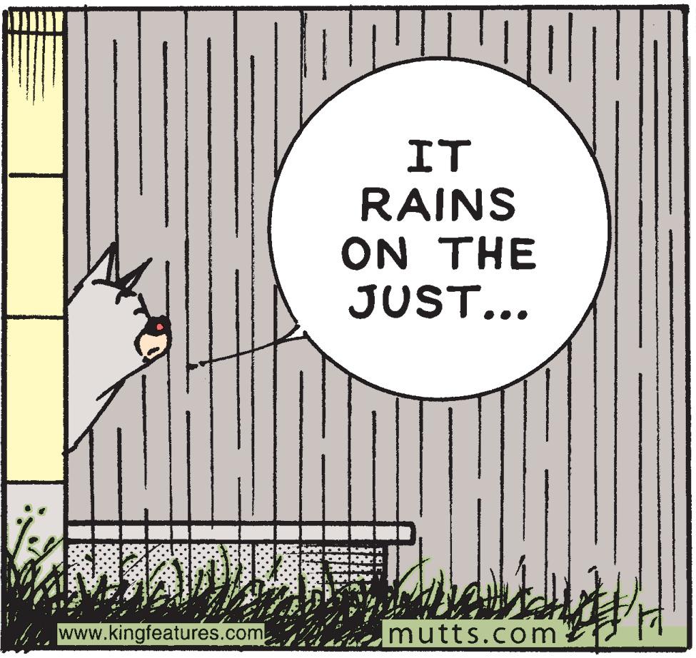 Illustration OCR: IT RAINS ON THE JUST... MAN www.kingfeatures.com mutts.com IT RAINS ON THE JUST... MAN www.kingfeatures.com mutts.com
