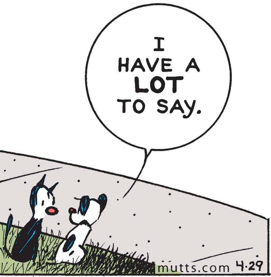 Drawing OCR: HAVE A LOT TO SAY. imutts.com 4-29 HAVE A LOT TO SAY. imutts.com 4-29