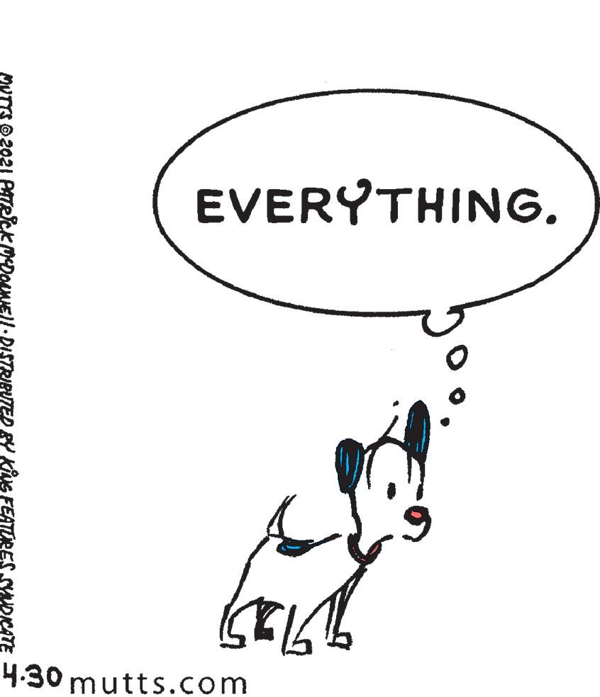 Line OCR: EVERYTHING. 4.30 mutts.com MUTTS O2021 ATRICK MDOLNE|/- DISTRIBUTED gY KNG FEATORES SUDKATE EVERYTHING. 4.30 mutts.com MUTTS O2021 ATRICK MDOLNE|/- DISTRIBUTED gY KNG FEATORES SUDKATE