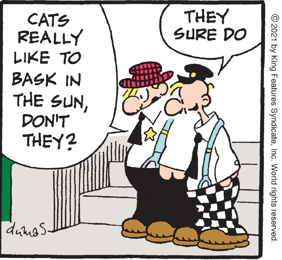 Mammal OCR: CATS REALLY THEY SURE DO LIKE TO BASK IN THE SUNDON'T THEY? dunas. © 2021 by King Features SyndicateInc. World rights reserved. CATS REALLY THEY SURE DO LIKE TO BASK IN THE SUNDON'T THEY? dunas. © 2021 by King Features SyndicateInc. World rights reserved.