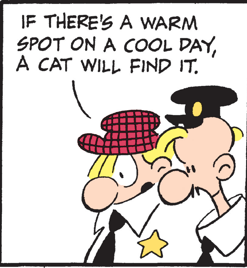 Fictional character OCR: IF THERE'S A WARM SPOT ON A COOL DAYA CAT WILL FIND IT. IF THERE'S A WARM SPOT ON A COOL DAYA CAT WILL FIND IT.