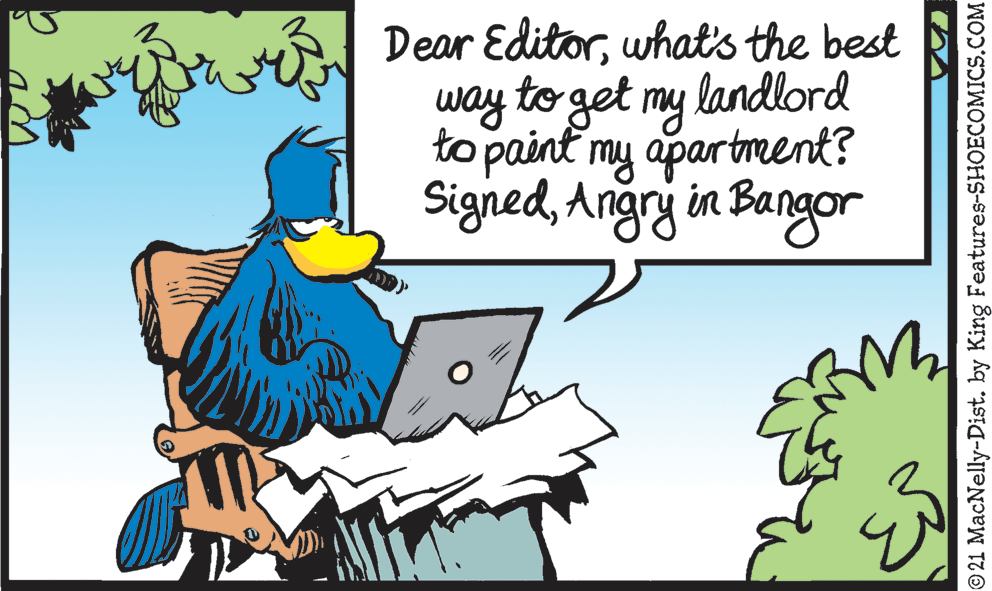 Adaptation OCR: Dear Editorwhat's the best way to get my landlord to paint my apartment? SignedAngry in Bangor © 21 MacNelly-Dist. by King Features-SHOECOMICS.COM Dear Editorwhat's the best way to get my landlord to paint my apartment? SignedAngry in Bangor © 21 MacNelly-Dist. by King Features-SHOECOMICS.COM