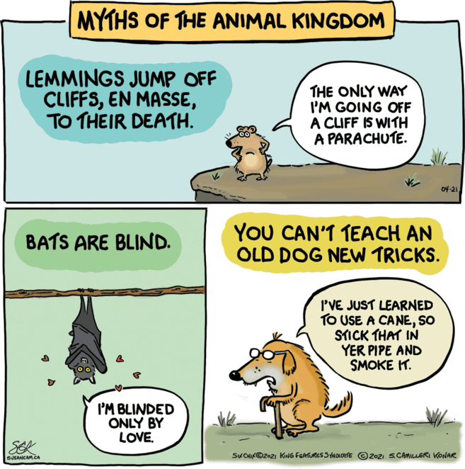 Art OCR: MYTHS OF THE ANIMAL KINGDOM LEMMINGS JUMP OFF CLIFFSTO THEIR DEATH. THE ONLY WAY I'M GOING OFF A CLIFF IS WITH A PARACHUTE. 04-21YoU CAN'T TEACH AN OLD DOG NEW TRICKS. BATS ARE BLIND. I'VE JUST LEARNED TO USE A CANESO STICK THAT IN YER PIPE AND SMOKE H. I'M BLINDED ONLY BY LOVE. SEK SK CHIK©2021 KING FEATURES SYNOLCATE © 202I S.CAMILLERI KONAR SUSANCAM.CA MYTHS OF THE ANIMAL KINGDOM LEMMINGS JUMP OFF CLIFFSEN MASSETO THEIR DEATH. THE ONLY WAY I'M GOING OFF A CLIFF IS WITH A PARACHUTE. 04-21YoU CAN'T TEACH AN OLD DOG NEW TRICKS. BATS ARE BLIND. I'VE JUST LEARNED TO USE A CANESO STICK THAT IN YER PIPE AND SMOKE H. I'M BLINDED ONLY BY LOVE. SEK SK CHIK©2021 KING FEATURES SYNOLCATE © 202I S.CAMILLERI KONAR SUSANCAM.CA