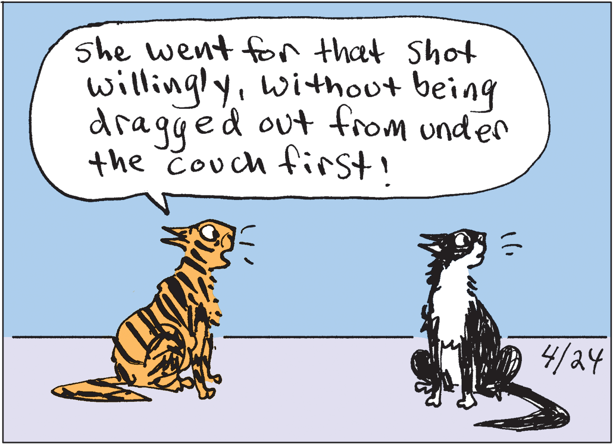 Terrestrial animal OCR: she went for that Shot willinglywithout being dragged out from under the Couch firsti 4/24 she went for that Shot willinglywithout being dragged out from under the Couch firsti 4/24