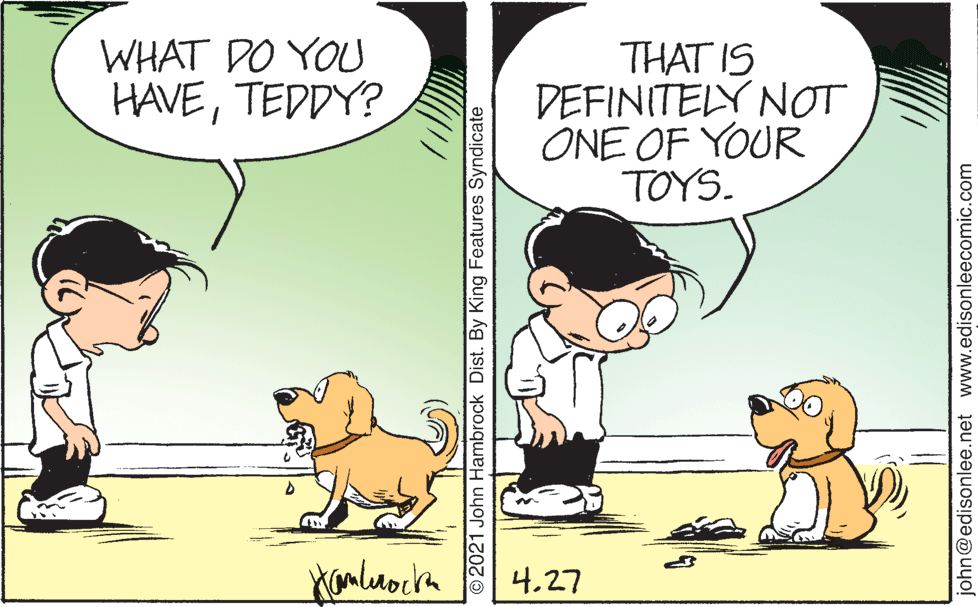 Adaptation OCR: WHAT DO YOU HAVETEDDY? THAT IS DEFINITELY NOT ONE OF YOUR TOYS. 4.27 O2021 John Hambrock Dist. By King Features Syndicate john@edisonlee.net www.edisonleecomic.com WHAT DO YOU HAVETEDDY? THAT IS DEFINITELY NOT ONE OF YOUR TOYS. 4.27 O2021 John Hambrock Dist. By King Features Syndicate john@edisonlee.net www.edisonleecomic.com