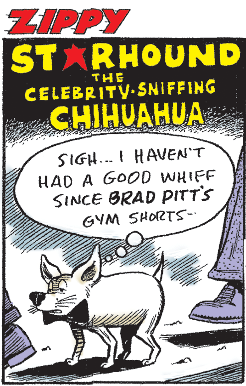 Fiction OCR: ZIPPY ST RHOUND THE CELEBRITY. SNIFFING CHIHUAHUA SIGH... I HAVEN'T HAD A GOOD WHIFF SINCE BRAD PITT'S GYM SHORTS- ZIPPY ST RHOUND THE CELEBRITY. SNIFFING CHIHUAHUA SIGH... I HAVEN'T HAD A GOOD WHIFF SINCE BRAD PITT'S GYM SHORTS-
