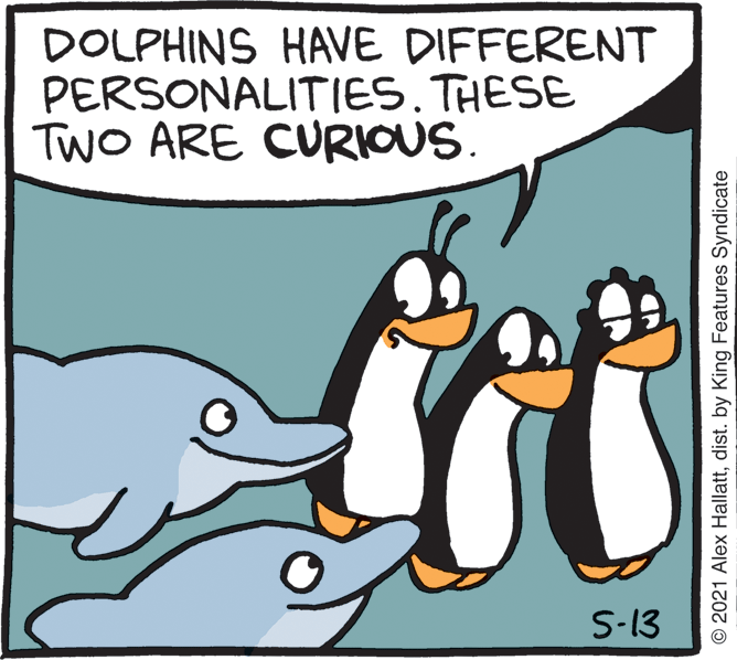 Happy OCR: DOLPHINS HAVE DIFFERENT PERSONALITIES. THESE TWO ARE CURIOUS. S-13 © 2021 Alex Hallattdist. by King Features Syndicate DOLPHINS HAVE DIFFERENT PERSONALITIES. THESE TWO ARE CURIOUS. S-13 © 2021 Alex Hallattdist. by King Features Syndicate