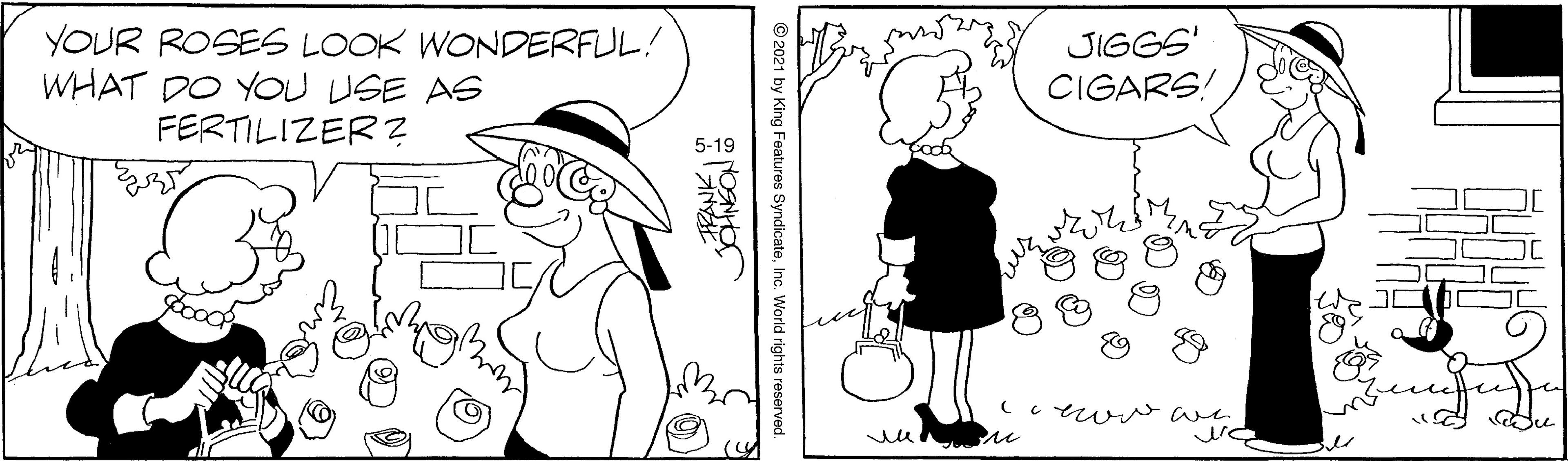 Black-and-white OCR: YOUR ROSES LOOK WONDERFUL! WHAT DO YOU USE AS FERTILIZER? JIGGS' CIGARS! 5-19 © 2021 by King Features SyndicateInc. World rights reservedt ??? YOUR ROSES LOOK WONDERFUL! WHAT DO YOU USE AS FERTILIZER? JIGGS' CIGARS! 5-19 © 2021 by King Features SyndicateInc. World rights reservedt ? ? ?