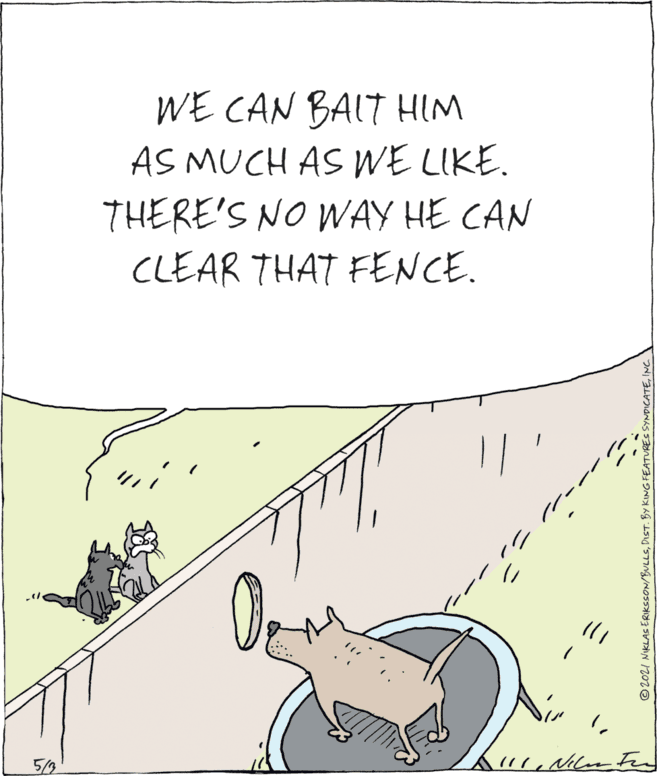 Parallel OCR: WE CAN BAIT HIM AS MUCH AS WE LIKE. THERE'S NO WAY HE CAN CLEAR THAT FENCE. 5/3 ©2021 NKLAS ERIKSSON/BULLSINC WE CAN BAIT HIM AS MUCH AS WE LIKE. THERE'S NO WAY HE CAN CLEAR THAT FENCE. 5/3 ©2021 NKLAS ERIKSSON/BULLSDIST. BY KING FEATURES SYNDICATE