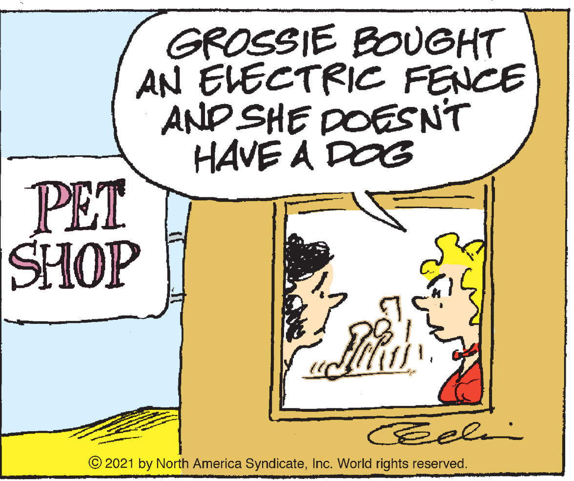 Window OCR: GROSSIE BOUGHT AN ELECTRIC FENCE AND SHE DOESNT HAVE A DOG PET SHOP Eele © 2021 by North America SyndicateInc. World rights reserved. GROSSIE BOUGHT AN ELECTRIC FENCE AND SHE DOESNT HAVE A DOG PET SHOP Eele © 2021 by North America SyndicateInc. World rights reserved.