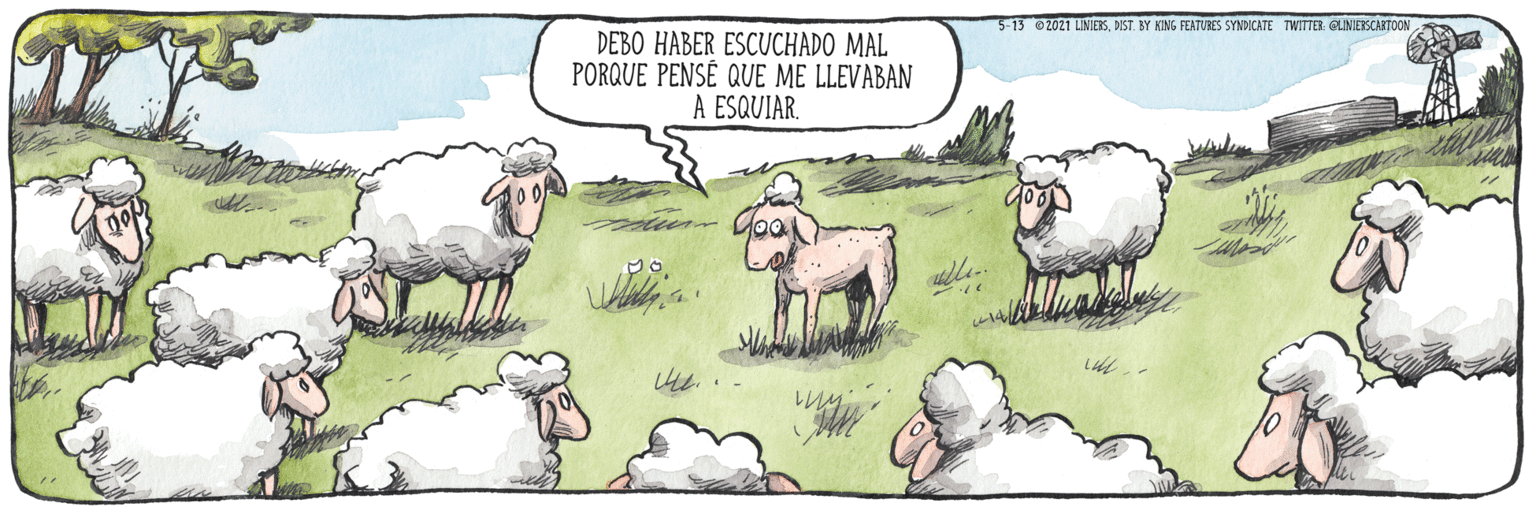 Sheep OCR: 5-13 O2021 LINIESDIST BY KING FERTUBES SYNDICATE TWITTER. GLINIERSCAKTOON DEBO HABER ESCUCHADO MAL PORQUE PENSÉ QUE ME LLEVABAN A ESQUIAR. 5-13 O2021 LINIESDIST BY KING FERTUBES SYNDICATE TWITTER. GLINIERSCAKTOON DEBO HABER ESCUCHADO MAL PORQUE PENSÉ QUE ME LLEVABAN A ESQUIAR.