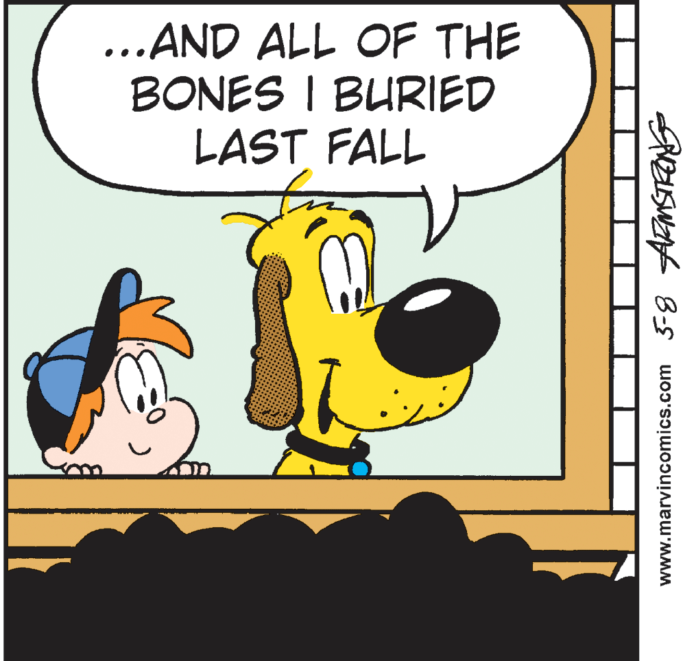 Conversation OCR: ...AND ALL OF THE BONES I BURIED LAST FALL www.marvincomics.com -8 ARnSTRents ...AND ALL OF THE BONES I BURIED LAST FALL www.marvincomics.com -8 ARnSTRents