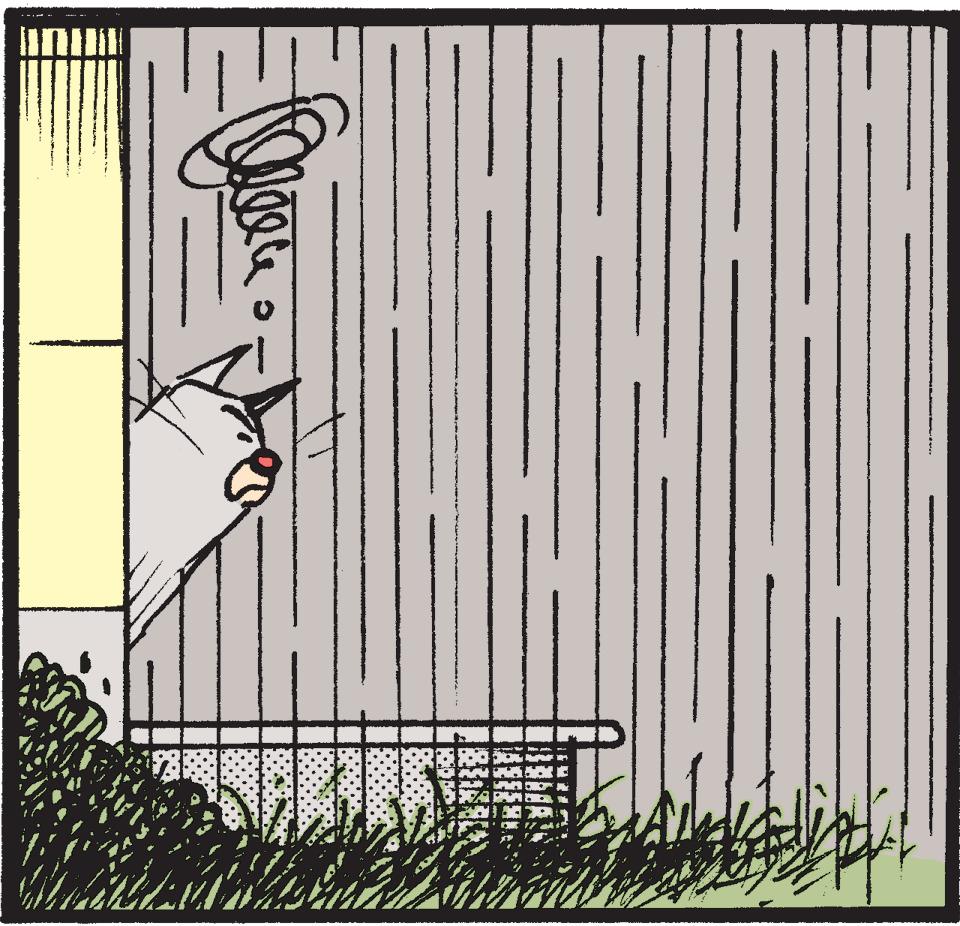 Mutts - Part 2 - 2021-05-01