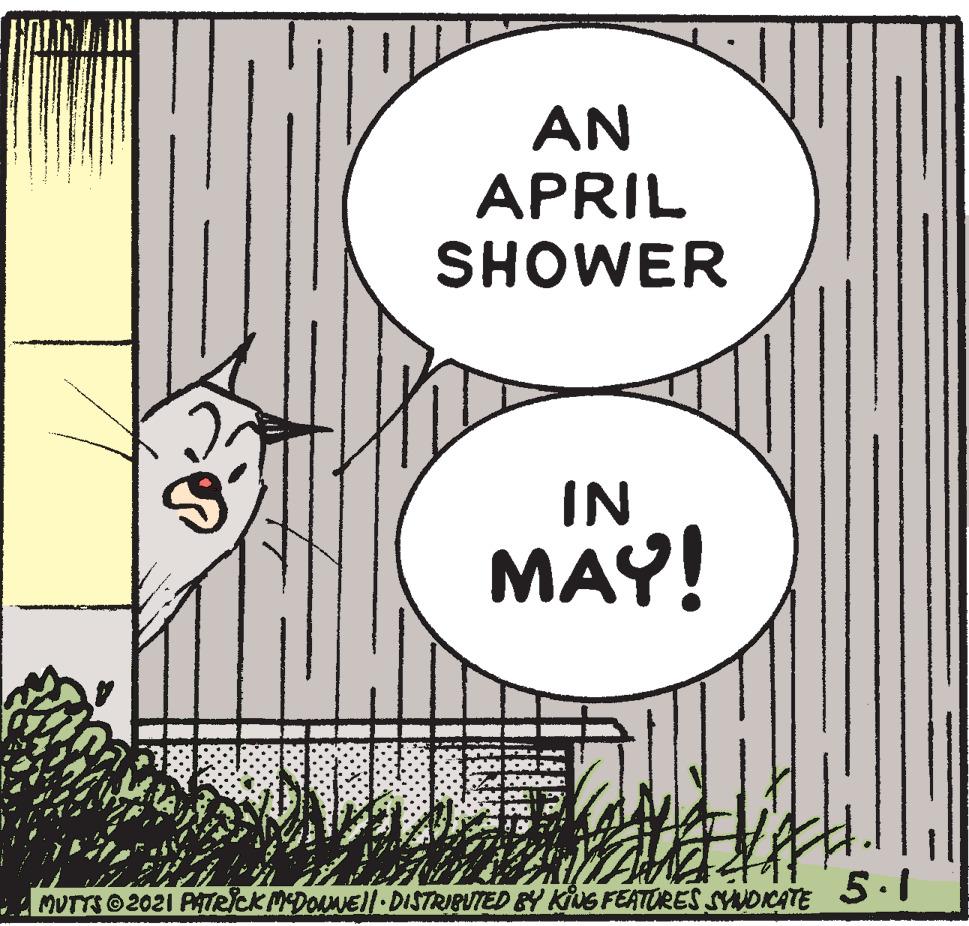 Drawing OCR: AN APRIL SHOWER C. IN MAY! MUTTS O2021 PATRICK MEDONEll DISTRIBUTED BY KiNG FEATURES OKATE 5: I AN APRIL SHOWER C. IN MAY! MUTTS O2021 PATRICK MEDONEll DISTRIBUTED BY KiNG FEATURES OKATE 5: I