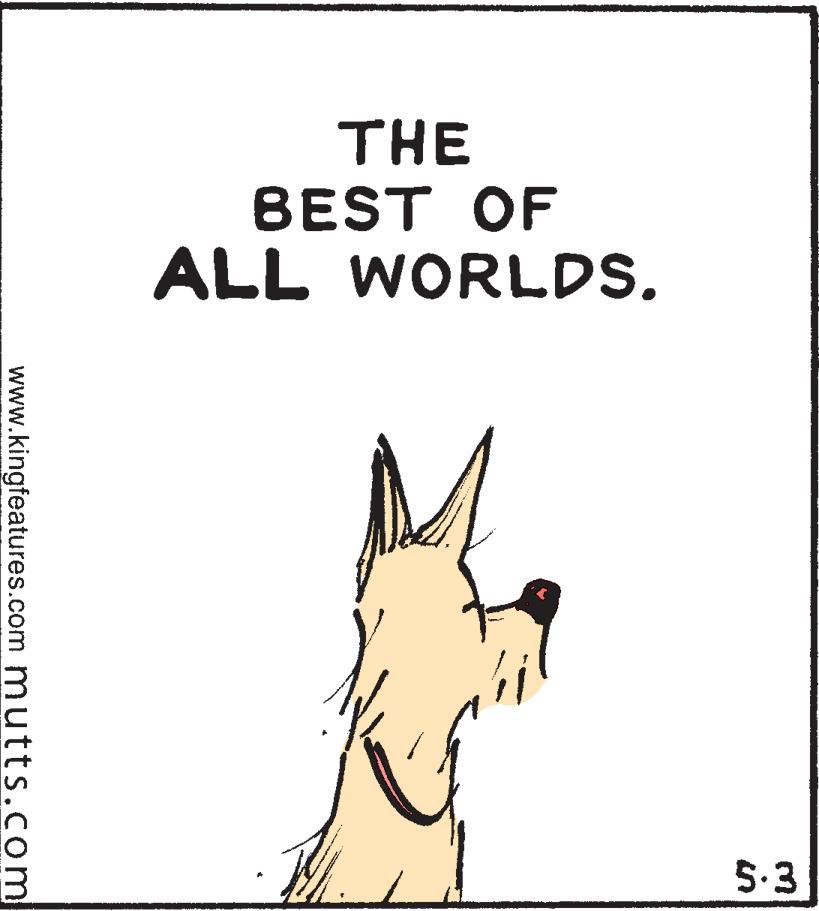 Snout OCR: THE BEST OF ALL WORLDS. 5.3 www.kingfeatures.com mutts.com THE BEST OF ALL WORLDS. 5.3 www.kingfeatures.com mutts.com