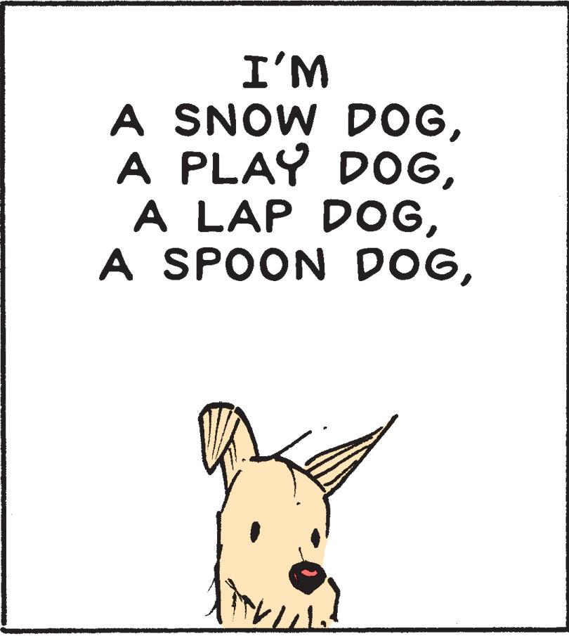 Snout OCR: I'M A SNOW DOGI'M A SNOW DOGA PLAY DOGA LAP DOGA SPOON DOG