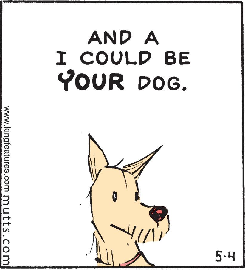 Snout OCR: AND A I COULD BE YOUR DOG. 5.4 www.kingfeatures.com mutts.com AND A I COULD BE YOUR DOG. 5.4 www.kingfeatures.com mutts.com