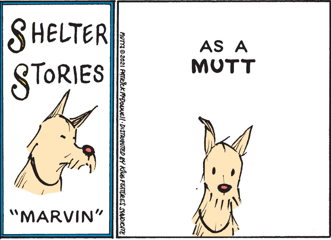 Font OCR: SHELTER AS A MUTT STORIES "MARVIN" MUTTS2021 PATRICKMDOANEll DISTRIBUTED BY KING FEATORES SNDICATE SHELTER AS A MUTT STORIES "MARVIN" MUTTS2021 PATRICKMDOANEll DISTRIBUTED BY KING FEATORES SNDICATE