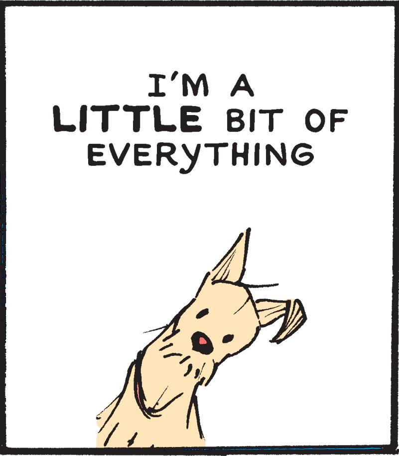 Rectangle OCR: I'M A LITTLE BIT OF EVERYTHING I'M A LITTLE BIT OF EVERYTHING