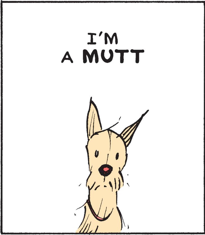 Fawn OCR: I'M A MUTT I'M A MUTT