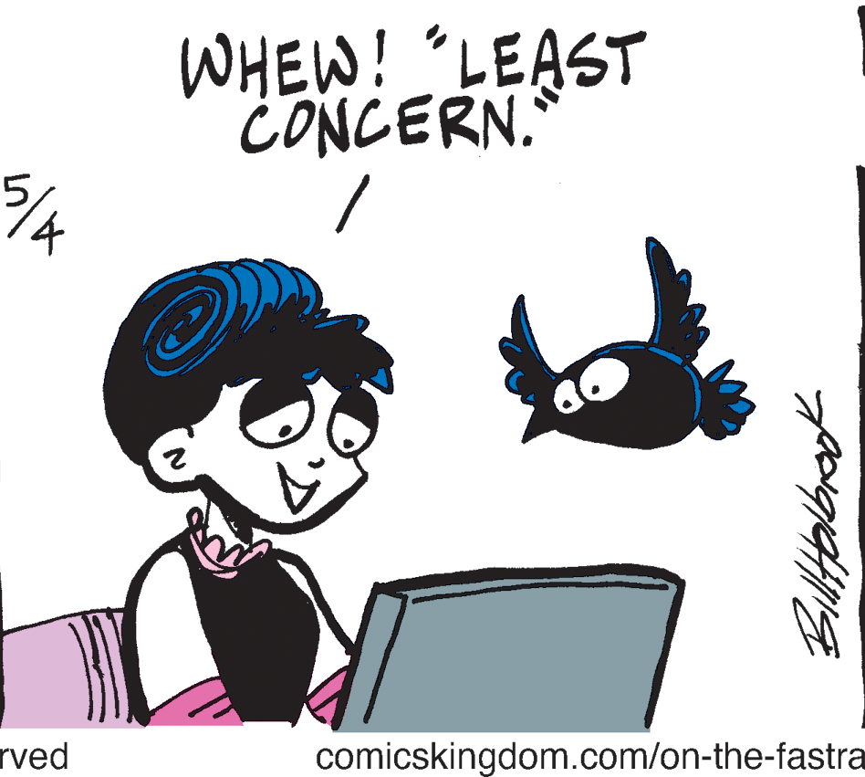 Sharing OCR: WHEW! LEAST CONCERN. /K rved comicskingdom.com/on-the-fastra Biltabraok WHEW! LEAST CONCERN. /K rved comicskingdom.com/on-the-fastra Biltabraok