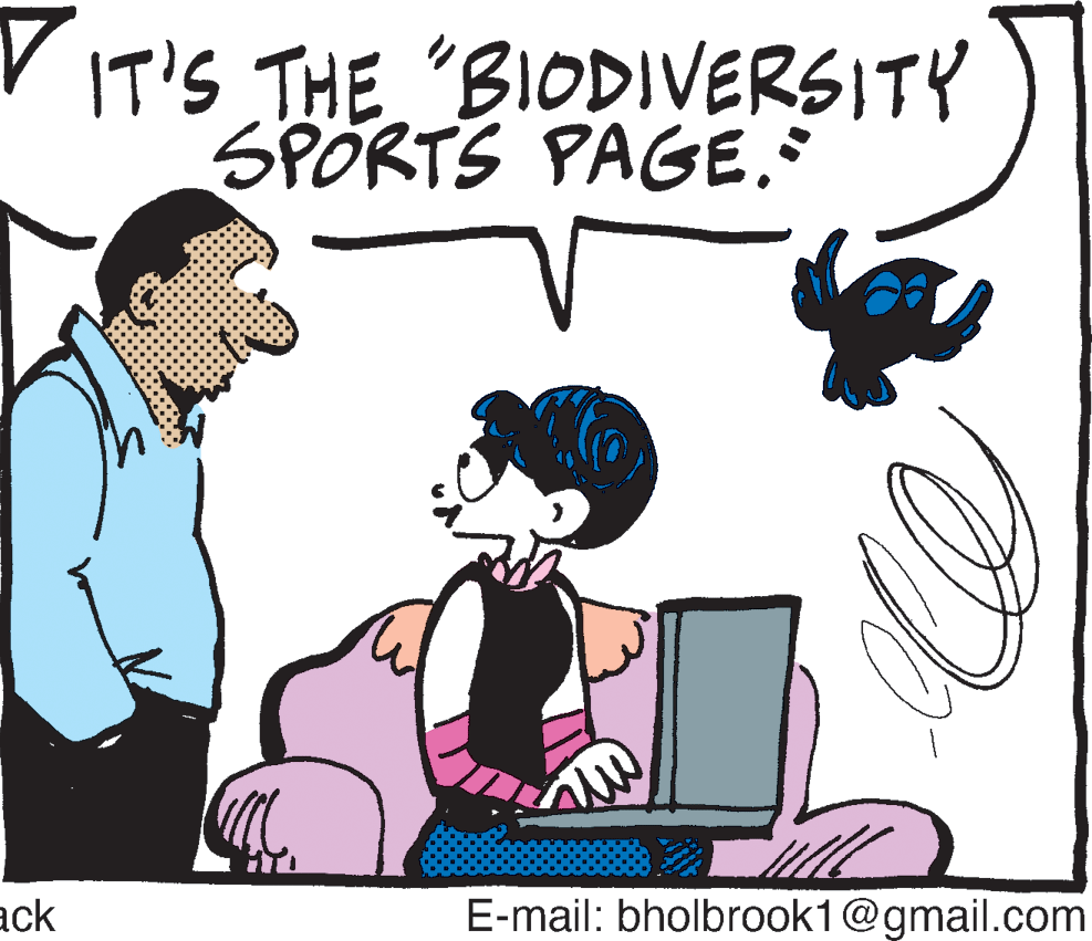 Font OCR: VIT'S THE "BIODIVERSITY SPORTS PAGEack E-mail: bholbrook1@gmail.com VIT'S THE "BIODIVERSITY SPORTS PAGEack E-mail: bholbrook1@gmail.com