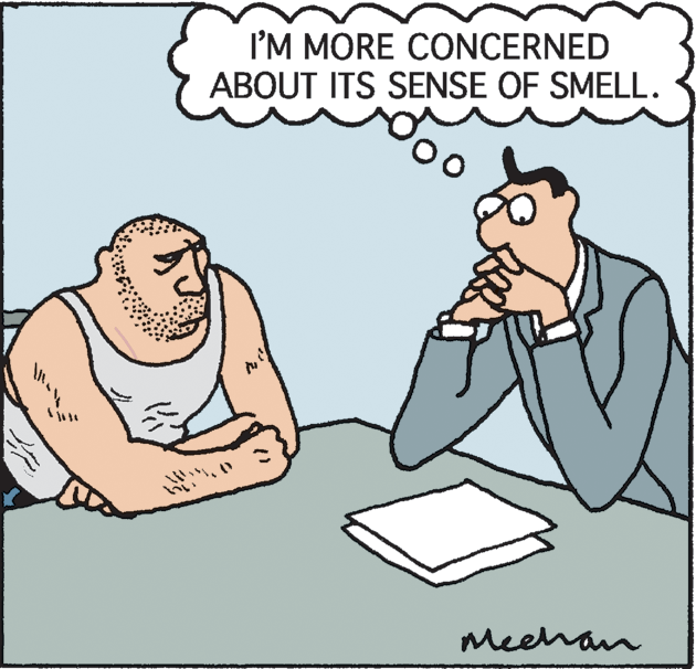 Gesture OCR: I'M MORE CONCERNED ABOUT ITS SENSE OF SMELL. Meehan I'M MORE CONCERNED ABOUT ITS SENSE OF SMELL. Meehan
