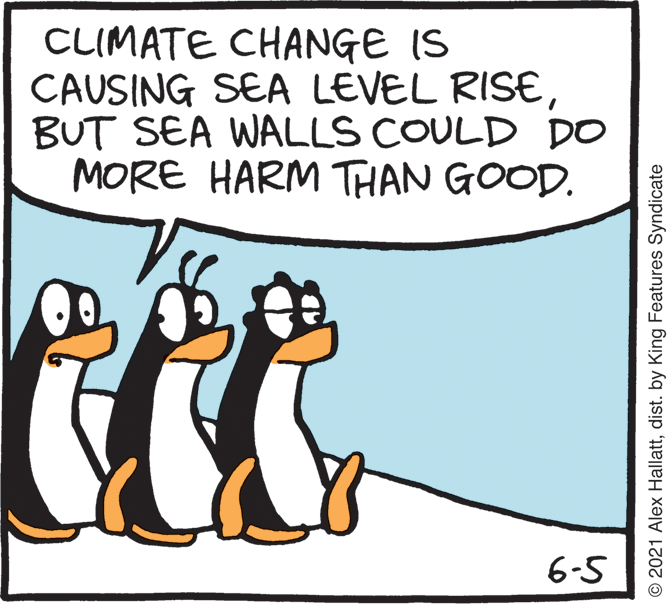 Humour OCR: CLIMATE CHANGE IS CAUSING SEA LEVEL RISEBUT SEA WALLS COULD DO MORE HARM THAN GOOD. 6-5 © 2021 Alex Hallattdist. by King Features Syndicate CLIMATE CHANGE IS CAUSING SEA LEVEL RISEBUT SEA WALLS COULD DO MORE HARM THAN GOOD. 6-5 © 2021 Alex Hallattdist. by King Features Syndicate
