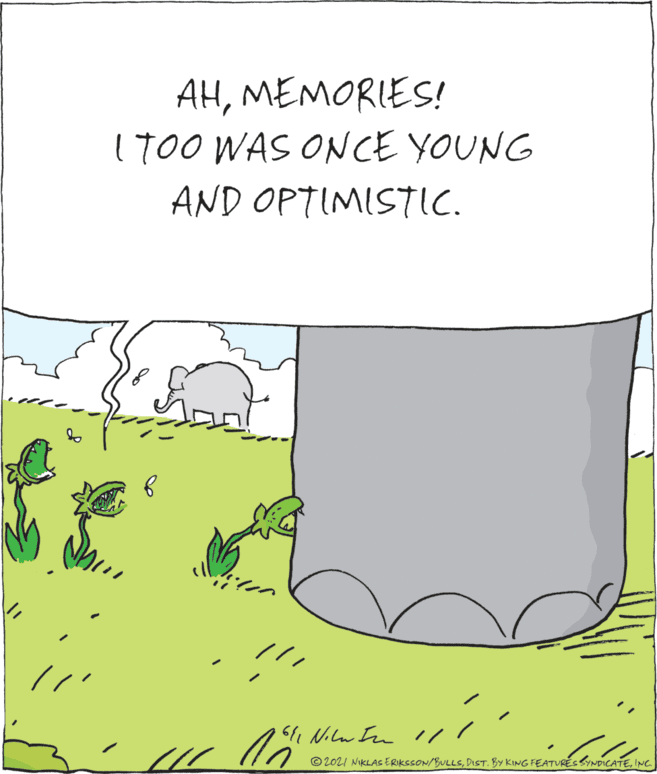 Plant OCR: AHMEMORIES! 1T00 WAS ONCE YOUNG AND OPTIMISTIC. i Nilr In I/ © 2021 NIKLAS ERIKSSON/BULLS'C. AHMEMORIES! 1T00 WAS ONCE YOUNG AND OPTIMISTIC. i Nilr In I/ © 2021 NIKLAS ERIKSSON/BULLSDIST. BY KING FEATuRÉSYNDICATE