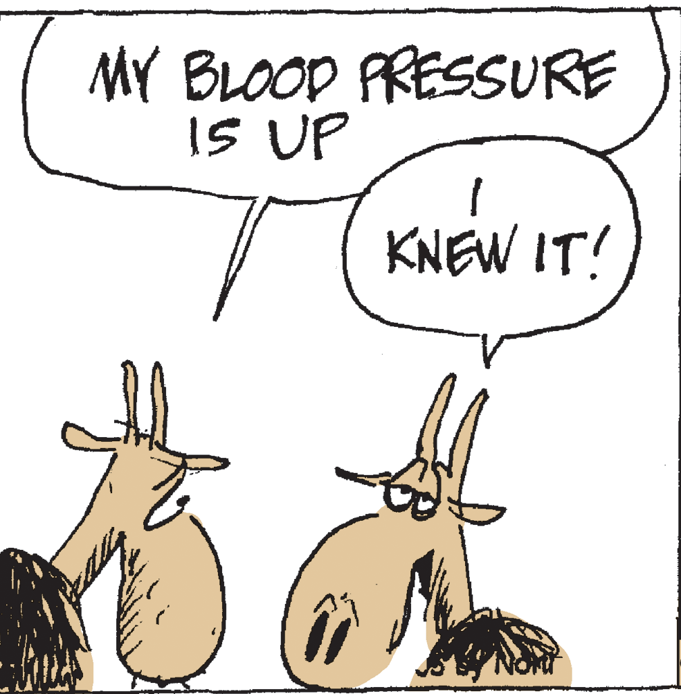 Line OCR: MY BLOOD PRESSURE IS UP KNEW IT! MY BLOOD PRESSURE IS UP KNEW IT!