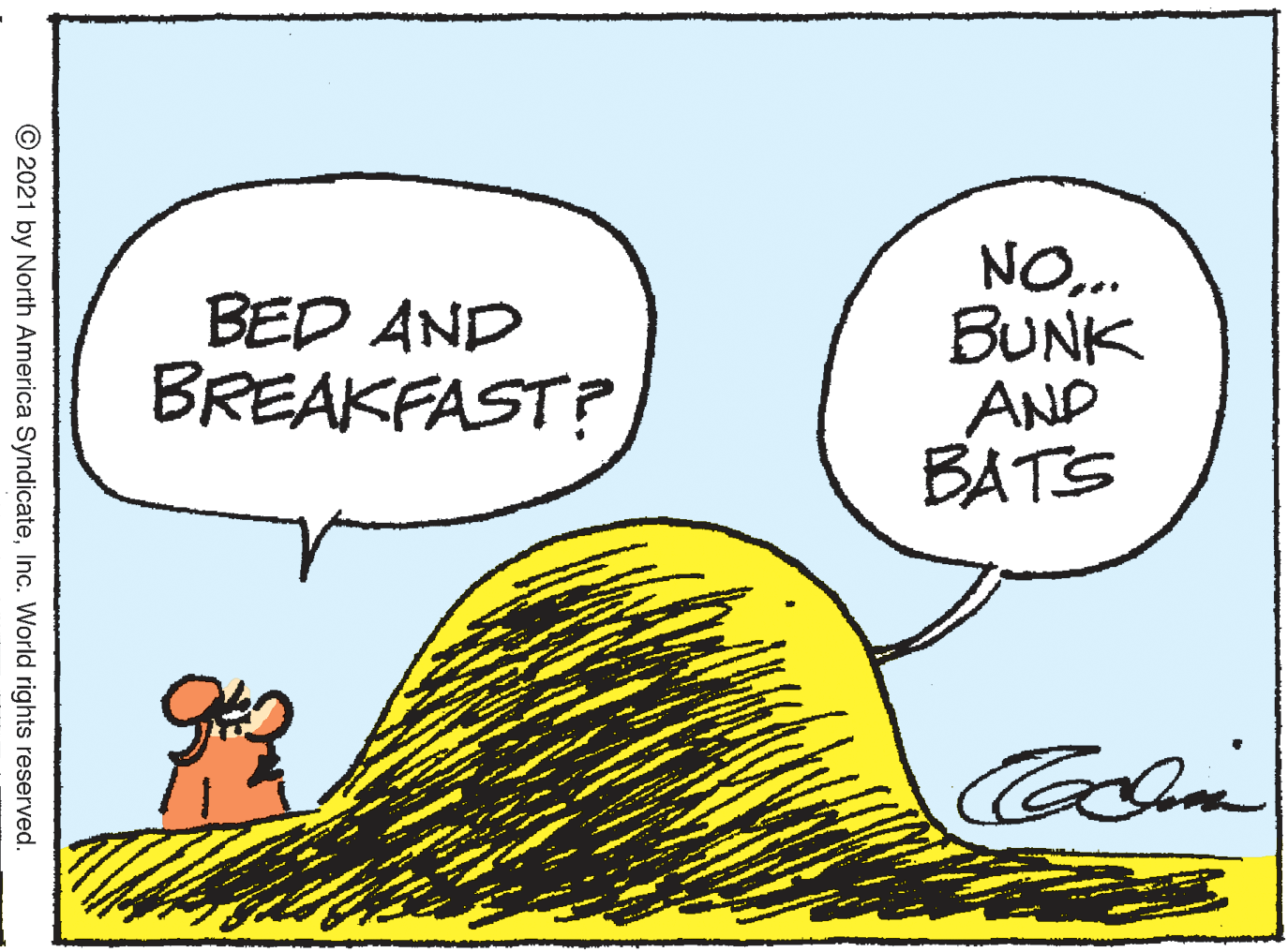 Happy OCR: NO.. BUNK AND BATS BED AND BREAKFAST? Colmi © 2021 by North America SyndicateInc. World rights reserved. NO.. BUNK AND BATS BED AND BREAKFAST? Colmi © 2021 by North America SyndicateInc. World rights reserved.