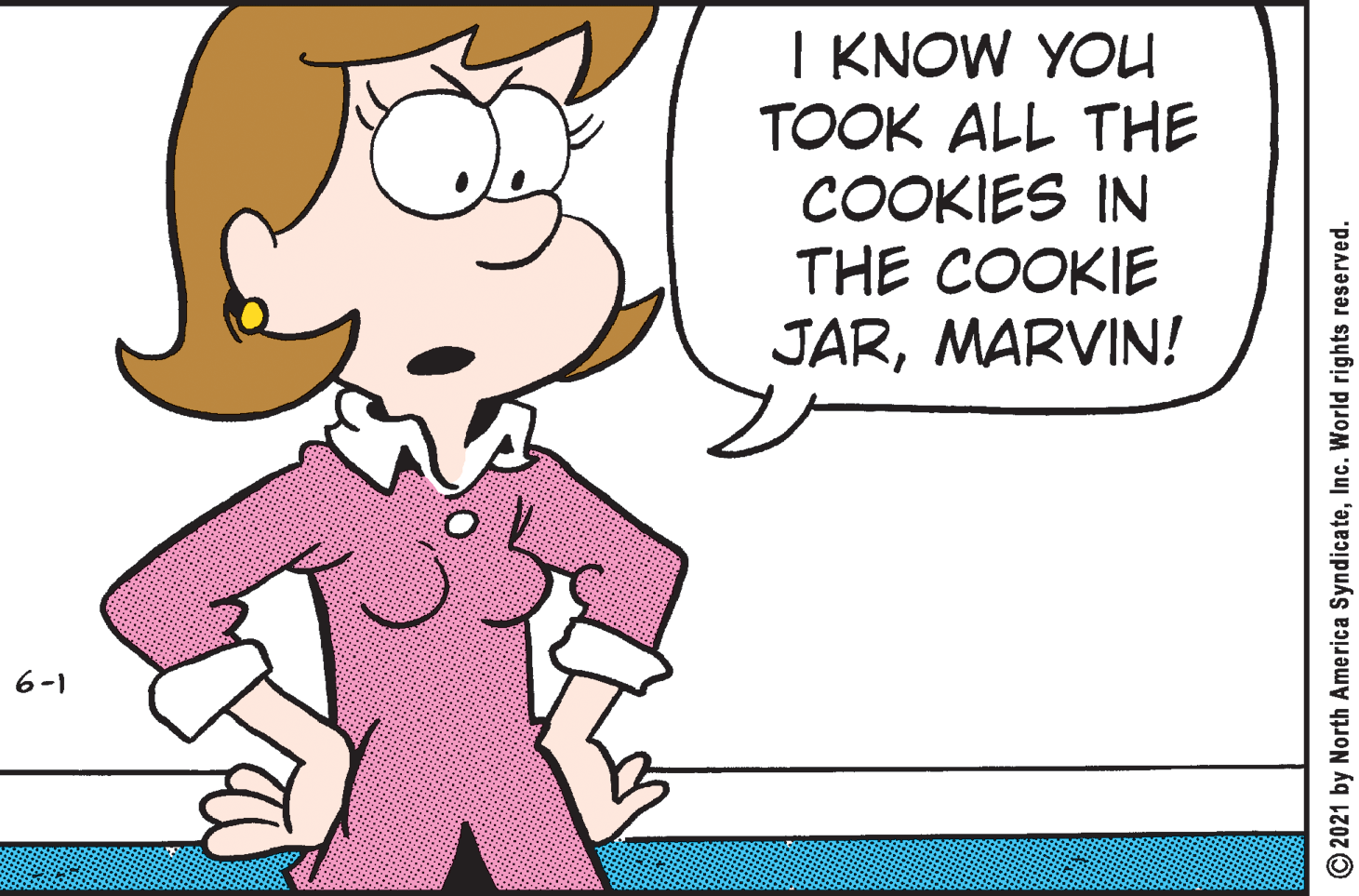 Line OCR: I KNOW YOU TOOK ALL THE COOKIES IN THE COOKIE JARMARVIN! 6-1 2021 by North America SyndicateInc. World rights reserved. I KNOW YOU TOOK ALL THE COOKIES IN THE COOKIE JARMARVIN! 6-1 2021 by North America SyndicateInc. World rights reserved.