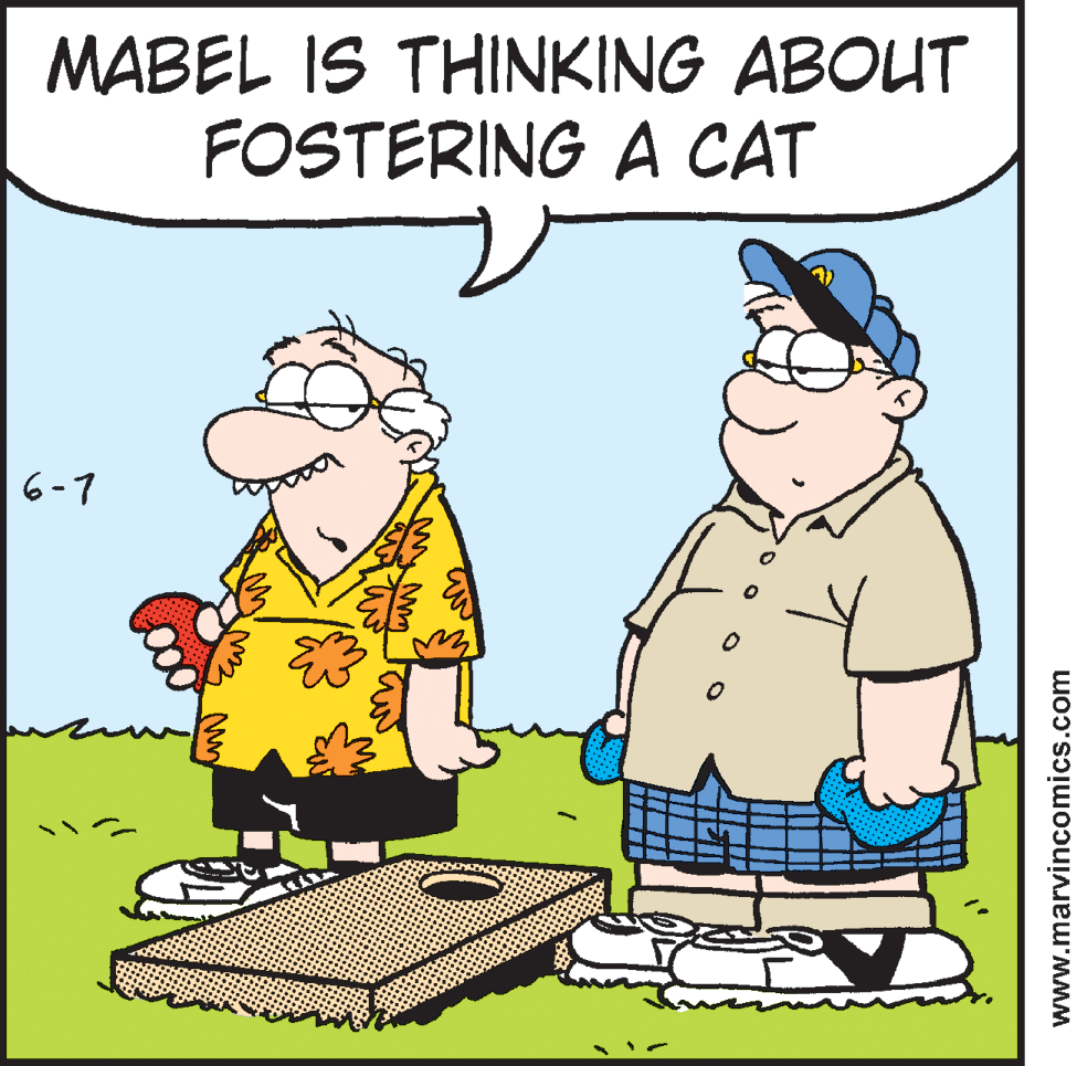 Line OCR: MABEL IS THINKING ABOUT FOSTERING A CAT 6-7 www.marvincomics.com MABEL IS THINKING ABOUT FOSTERING A CAT 6-7 www.marvincomics.com