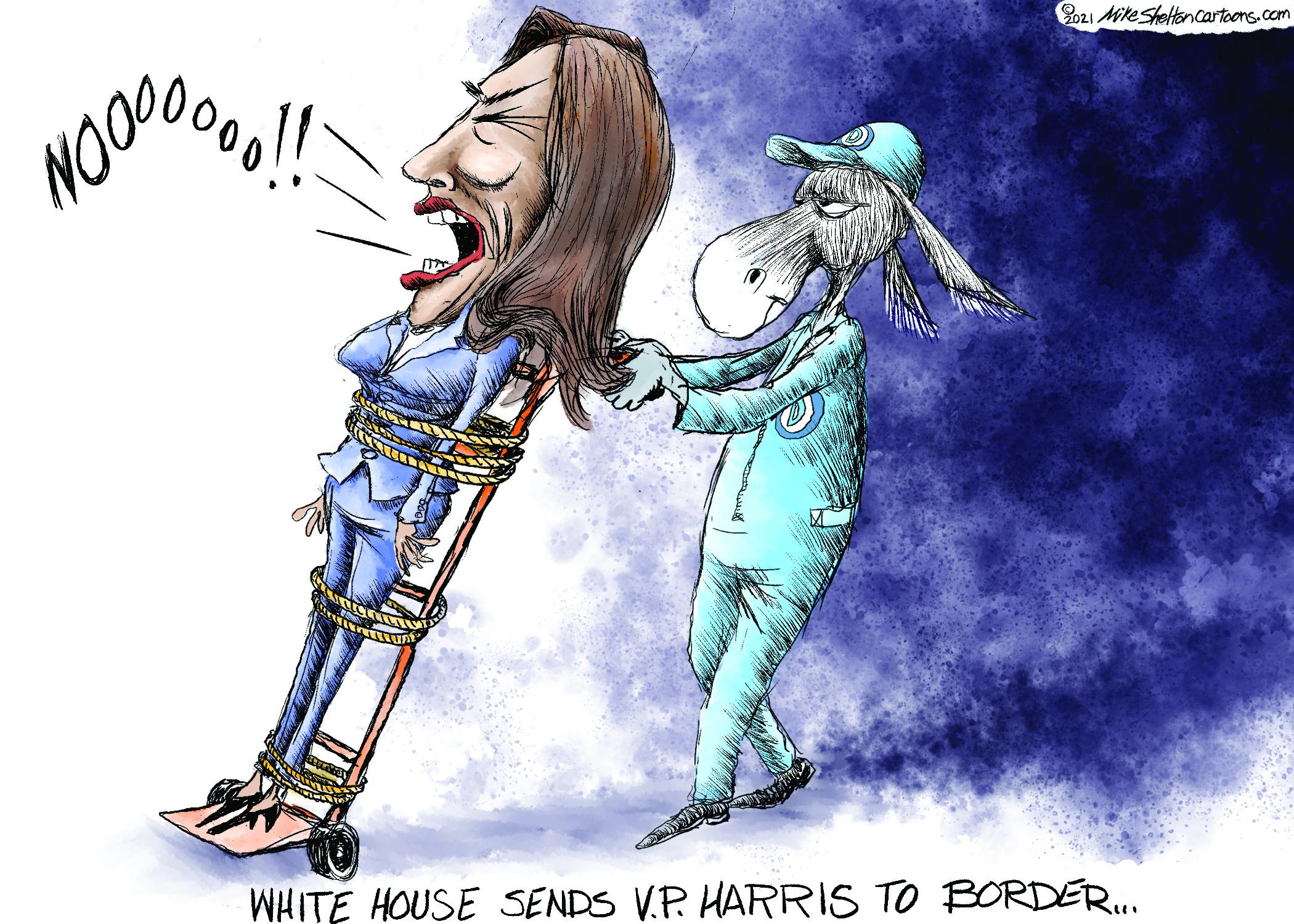 Graphics OCR: NOO. 021 MikeSheltoncartoons.com WHITE HOUSE SENDS V.P. HARRIS TO BORDER. NOO. 021 MikeSheltoncartoons.com WHITE HOUSE SENDS V.P. HARRIS TO BORDER.