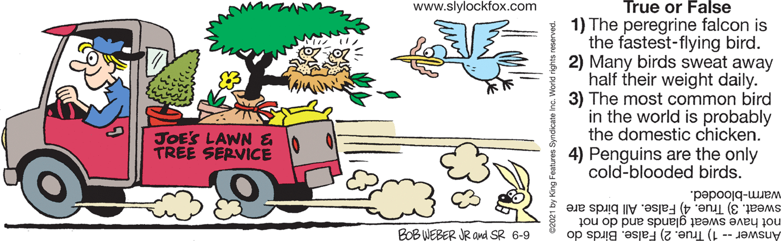Motor vehicle OCR: True or False 1) The peregrine falcon is the fastest-flying bird. 2) Many birds sweat away half their weight daily. 3) The most common bird in the world is probably the domestic chicken. 4) Penguins are the only cold-blooded birds. www.slylockfox.com JOE'S LAWN & TREE SERVICE warm-blooded. sweat. 3) True. 4) False. All birds are not have sweat glands and do not Answer- 1) True. 2) False. Birds do BOB WEBER JR and SR 6-9 True or False 1) The peregrine falcon is the fastest-flying bird. 2) Many birds sweat away half their weight daily. 3) The most common bird in the world is probably the domestic chicken. 4) Penguins are the only cold-blooded birds. www.slylockfox.com JOE'S LAWN & TREE SERVICE warm-blooded. sweat. 3) True. 4) False. All birds are not have sweat glands and do not Answer- 1) True. 2) False. Birds do BOB WEBER JR and SR 6-9