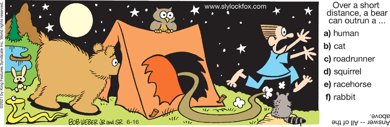 Illustration OCR: Over a short distancea bear can outrun a... www.slylockfox.com a) human b) cat c) roadrunner d) squirrel e) racehorse f) rabbit ?? ?? BOB WEBER JR and SR 6-16 Answer- All of the above. Over a short distancea bear can outrun a... www.slylockfox.com a) human b) cat c) roadrunner d) squirrel e) racehorse f) rabbit ?? ? ? BOB WEBER JR and SR 6-16 Answer- All of the above.