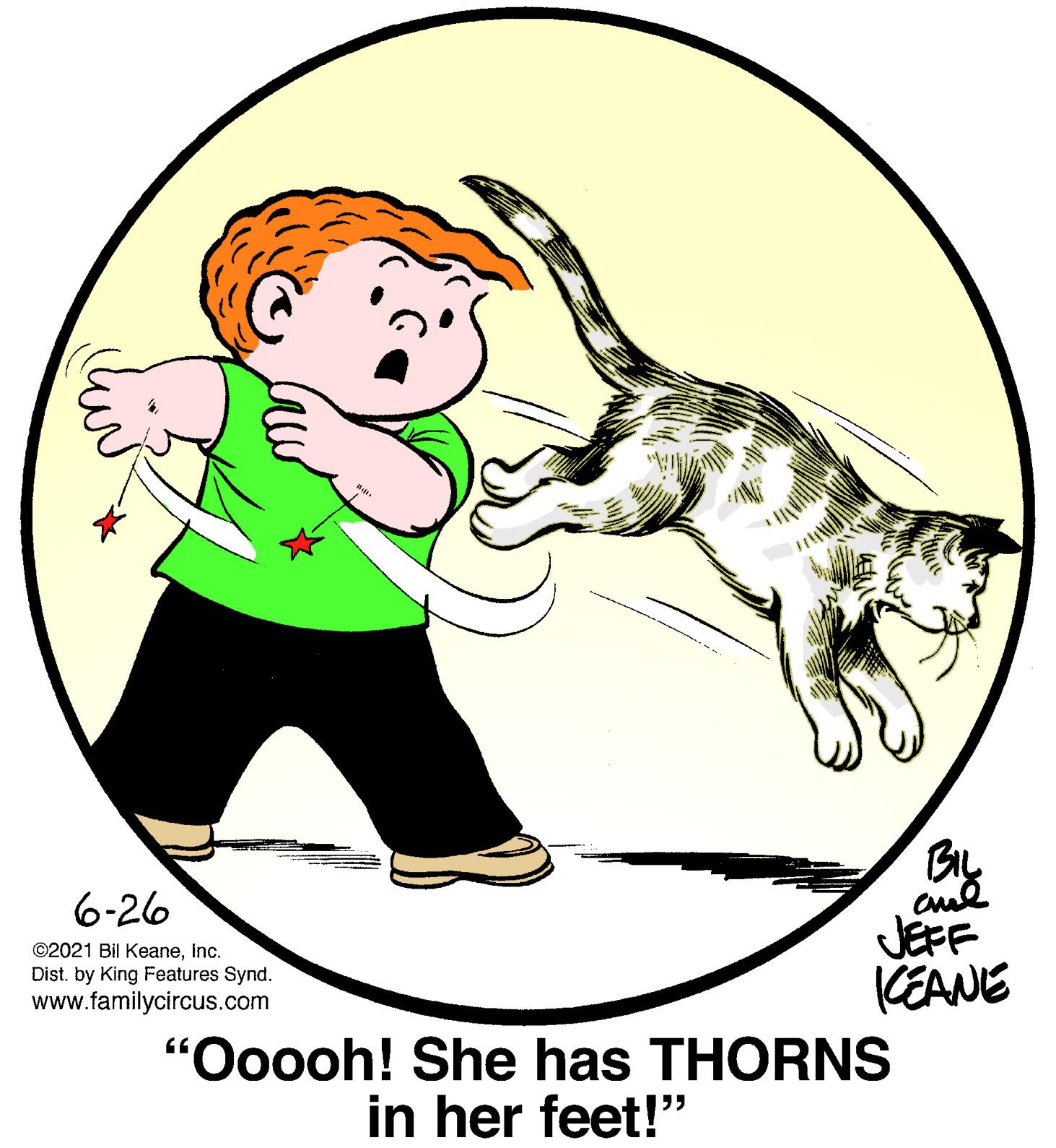 Terrestrial animal OCR: 6-26 ©2021 Bil Keaneinc. Dist. by King Features Synd. www.familycircus.com JEFF (EANE "Ooooh! She has THORNS in her feet!" 6-26 ©2021 Bil Keaneinc. Dist. by King Features Synd. www.familycircus.com JEFF (EANE "Ooooh! She has THORNS in her feet!"