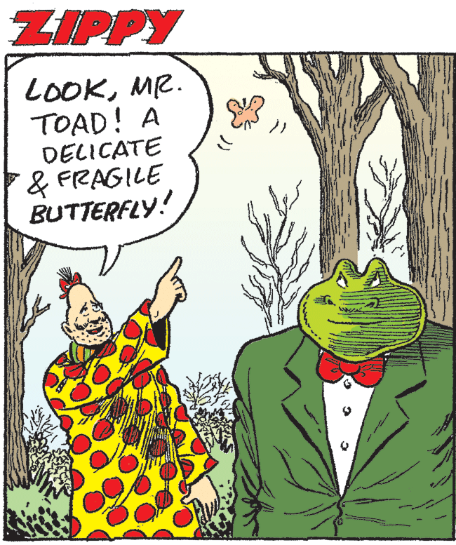 Art OCR: ZIPPY LOOKMR. TOAD! A DELICATE & FRAGILE BUTTERFLY! ZIPPY LOOKMR. TOAD! A DELICATE & FRAGILE BUTTERFLY!