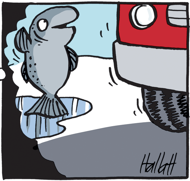 Rectangle OCR: Halltt www Halltt www