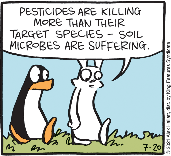 Rectangle OCR: PESTICIDES ARE KILLING MORE THAN THEIR TARGET SPECIES - SOIL MICROBES ARE SUFFERING. 7.20 © 2021 Alex Hallattdist. by King Features Syndicate PESTICIDES ARE KILLING MORE THAN THEIR TARGET SPECIES - SOIL MICROBES ARE SUFFERING. 7.20 © 2021 Alex Hallattdist. by King Features Syndicate