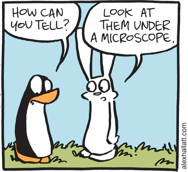 Font OCR: HOW CAN yOU TELL? LOOK AT THEM UNDER A MICROSCOPEalexhallatt.com HOW CAN yOU TELL? LOOK AT THEM UNDER A MICROSCOPE