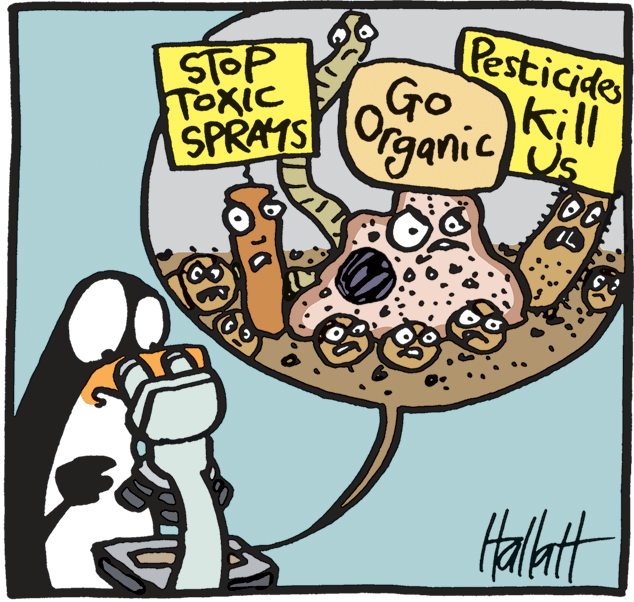 Drawing OCR: Pesticide STOP TOxic Go kill SPRATS Organic Halat Pesticide STOP TOxic Go kill SPRATS Organic Halat