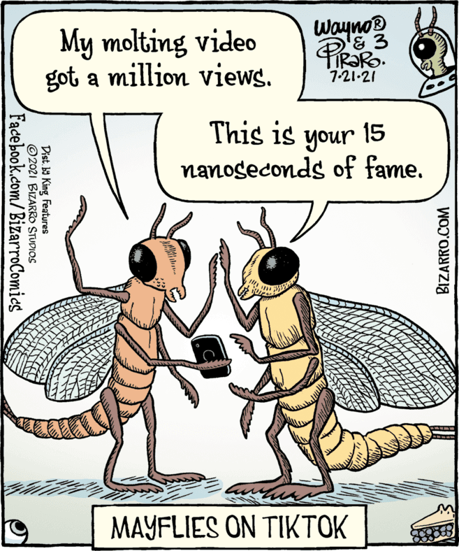 Illustration OCR: My molting video got a million views. Wayno & 3 PiRaRo 7-21-21 This is 15 your nanogeconds of fame. MAYFLIES ON TIKTOK BIZARRO.COM Dist. b9 King Features © 2021 BIZARRO STUDIOS Facebook.com/BizarroComics My molting video got a million views. Wayno & 3 PiRaRo 7-21-21 This is 15 your nanogeconds of fame. MAYFLIES ON TIKTOK BIZARRO.COM Dist. b9 King Features © 2021 BIZARRO STUDIOS Facebook.com/BizarroComics
