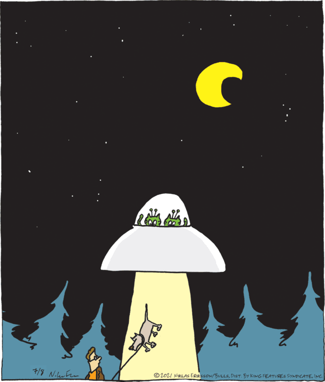 Illustration OCR: 7/8 N.utn © 2021 NIKLAS ERIKSSON/BULLSINC. 7/8 N.utn © 2021 NIKLAS ERIKSSON/BULLSDIST. BY KING FEATURES SYNDICATE